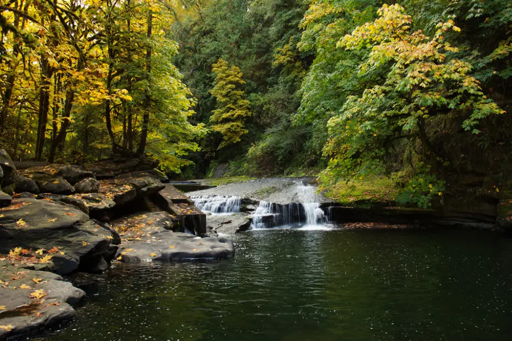 Bachblüte 27 Rock Water – Wasser aus heilkräftigen Quellen