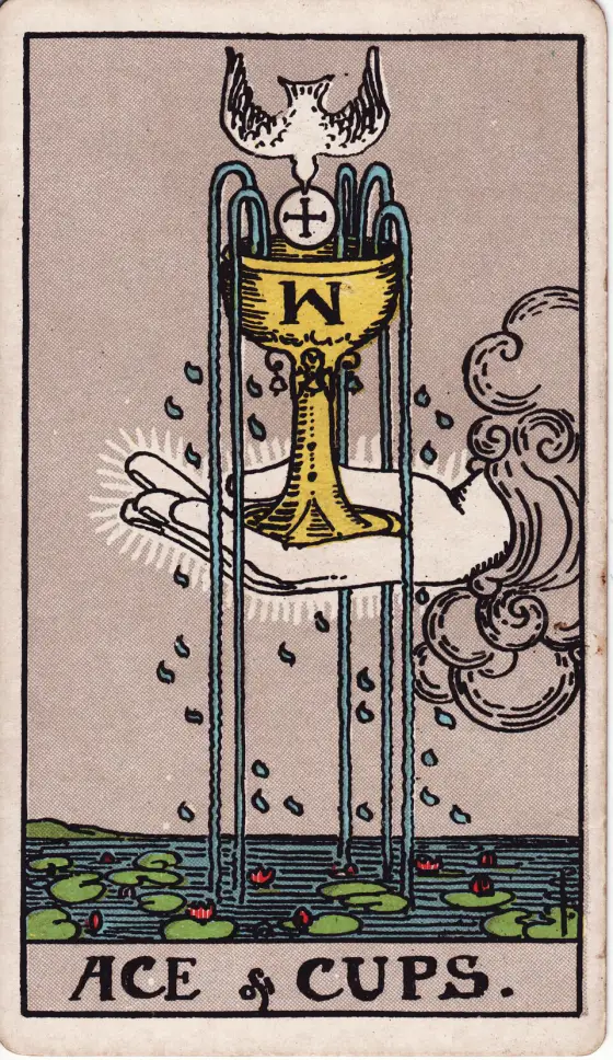 Ass der Kelche – Ace of Cups